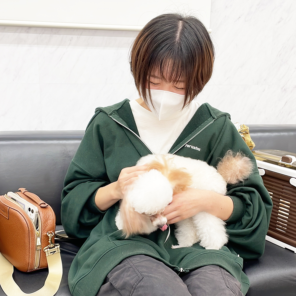 新しいおうちが決まりました！PART③